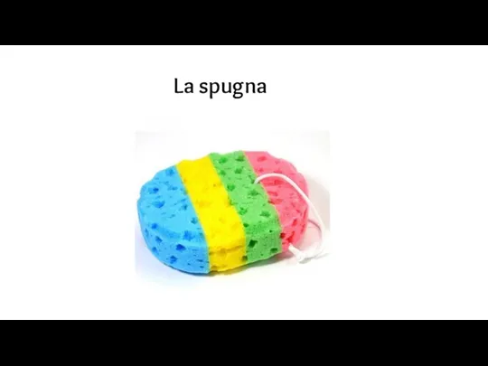 La spugna