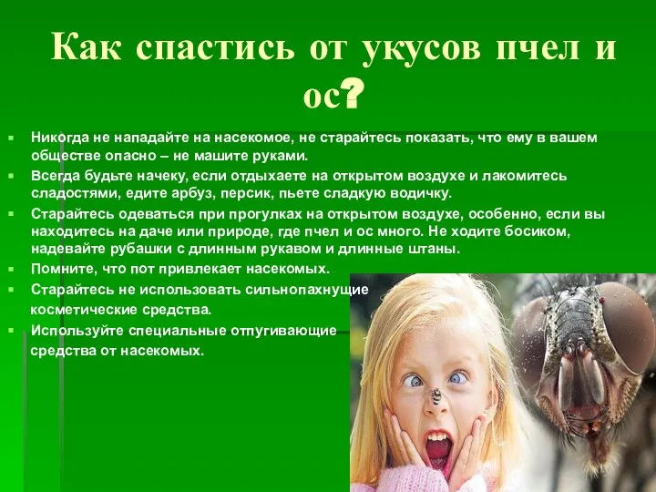 Как спастись от укусов пчел и ос? Никогда не нападайте на насекомое,