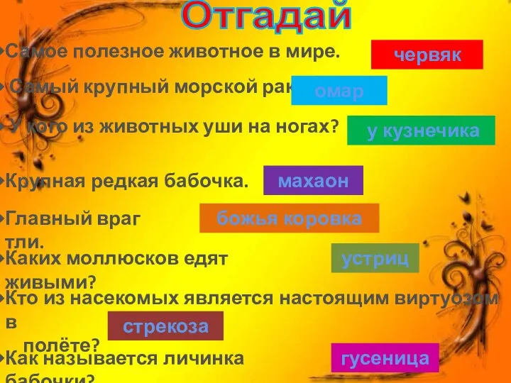 Отгадай Самое полезное животное в мире. червяк Самый крупный морской рак. омар