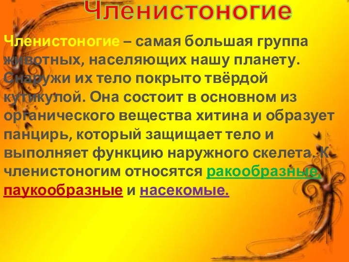 Членистоногие Членистоногие – самая большая группа животных, населяющих нашу планету. Снаружи их