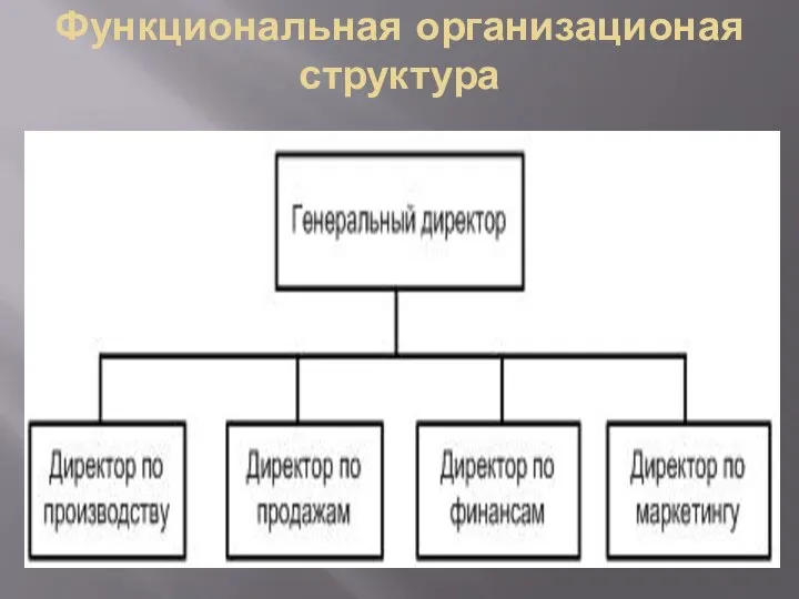 Функциональная организационая структура