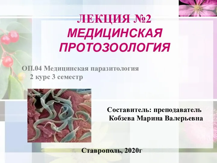 ЛЕКЦИЯ №2 МЕДИЦИНСКАЯ ПРОТОЗООЛОГИЯ ОП.04 Медицинская паразитология 2 курс 3 семестр Составитель: