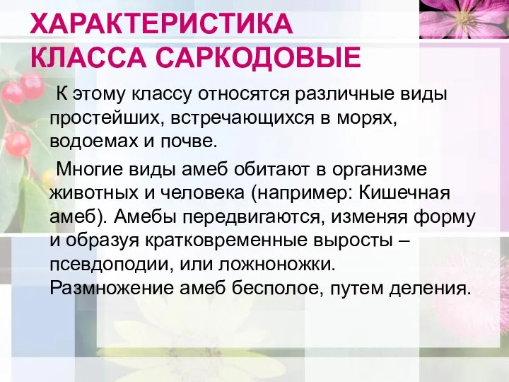 ХАРАКТЕРИСТИКА КЛАССА САРКОДОВЫЕ К этому классу относятся различные виды простейших, встречающихся в