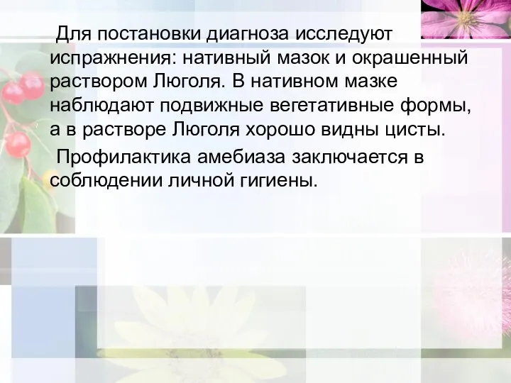 Для постановки диагноза исследуют испражнения: нативный мазок и окрашенный раствором Люголя. В