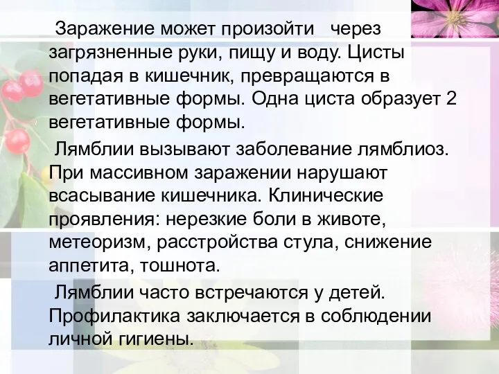 Заражение может произойти через загрязненные руки, пищу и воду. Цисты попадая в