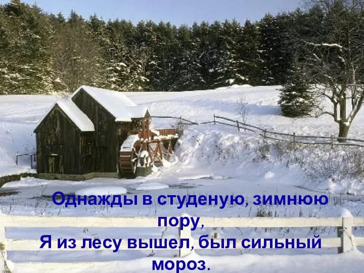 Однажды в студеную, зимнюю пору, Я из лесу вышел, был сильный мороз. Н.И. Некрасов