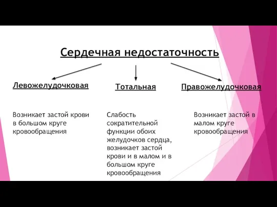 Сердечная недостаточность Левожелудочковая Тотальная Правожелудочковая Возникает застой крови в большом круге кровообращения