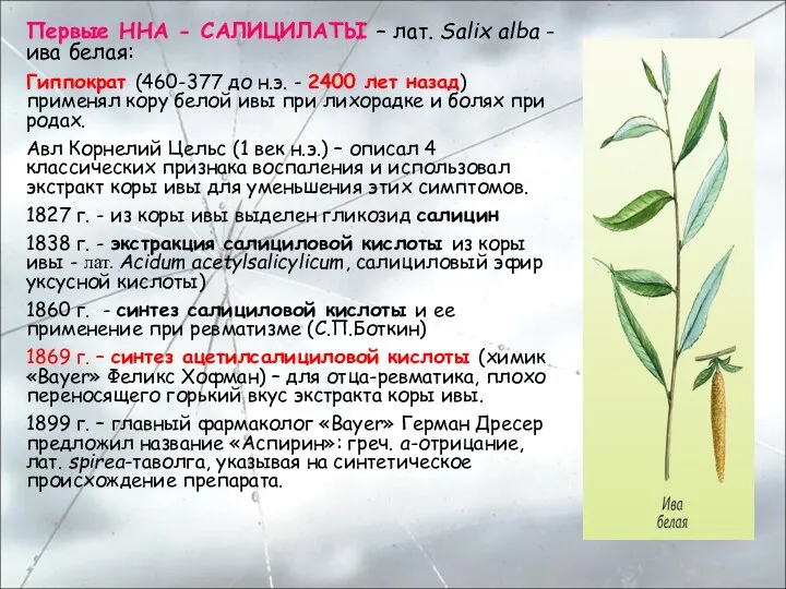 Первые ННА - САЛИЦИЛАТЫ – лат. Salix alba - ива белая: Гиппократ