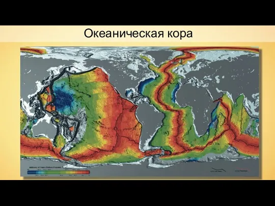 Океаническая кора