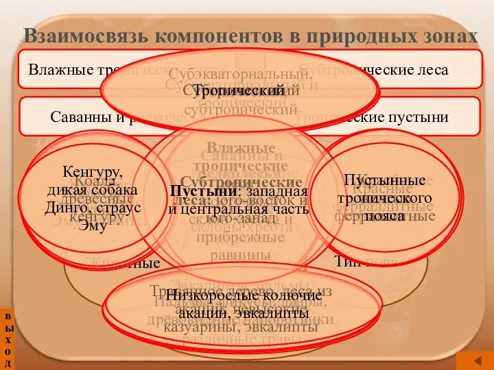 Влажные тропические леса Саванны и редколесья Тропические пустыни Субтропические леса выход Взаимосвязь компонентов в природных зонах