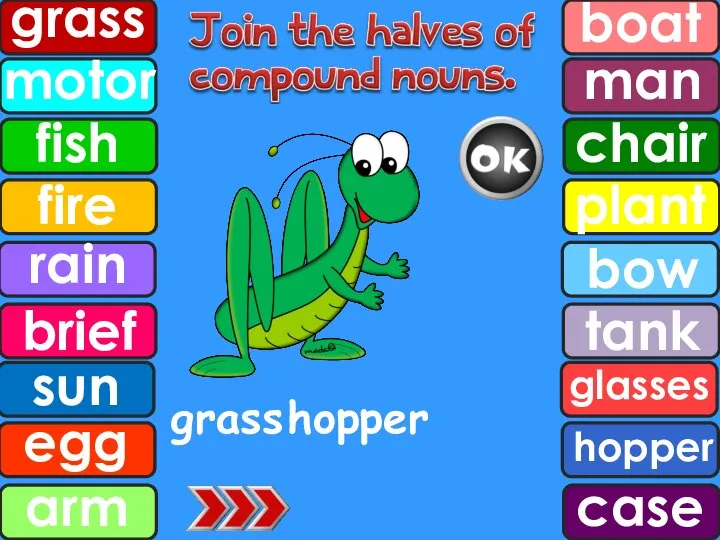 grass hopper