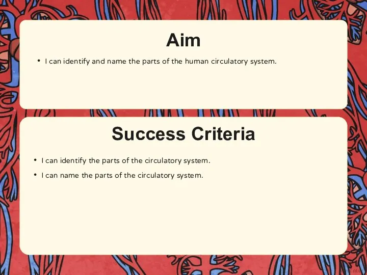 Success Criteria Aim I can identify and name the parts of the