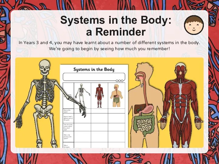 Systems in the Body: a Reminder In Years 3 and 4, you