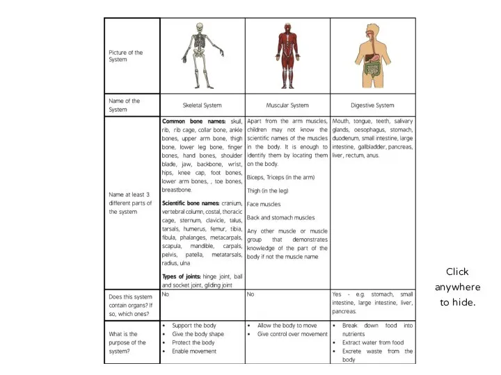 Systems in the Body: Answers Swap your Systems in the Body Activity