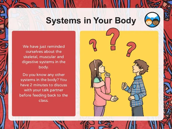 Systems in Your Body We have just reminded ourselves about the skeletal,