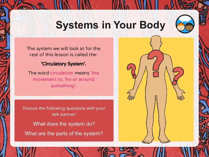 Systems in Your Body The system we will look at for the