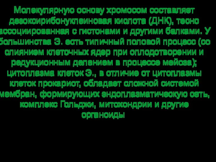 Молекулярную основу хромосом составляет дезоксирибонуклеиновая кислота (ДНК), тесно ассоциированная с гистонами и