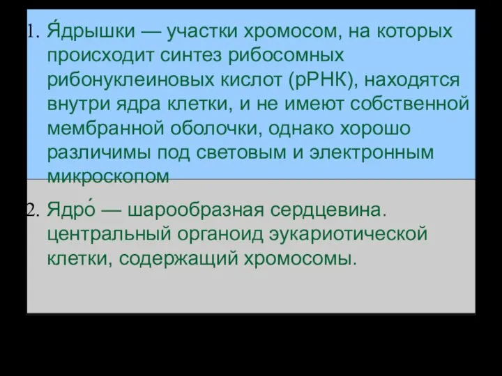 Я́дрышки — участки хромосом, на которых происходит синтез рибосомных рибонуклеиновых кислот (рРНК),