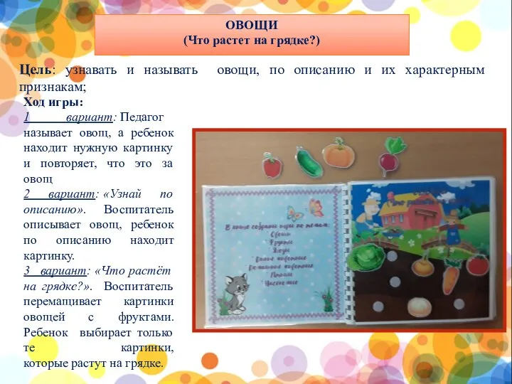 ОВОЩИ (Что растет на грядке?) Цель: узнавать и называть овощи, по описанию