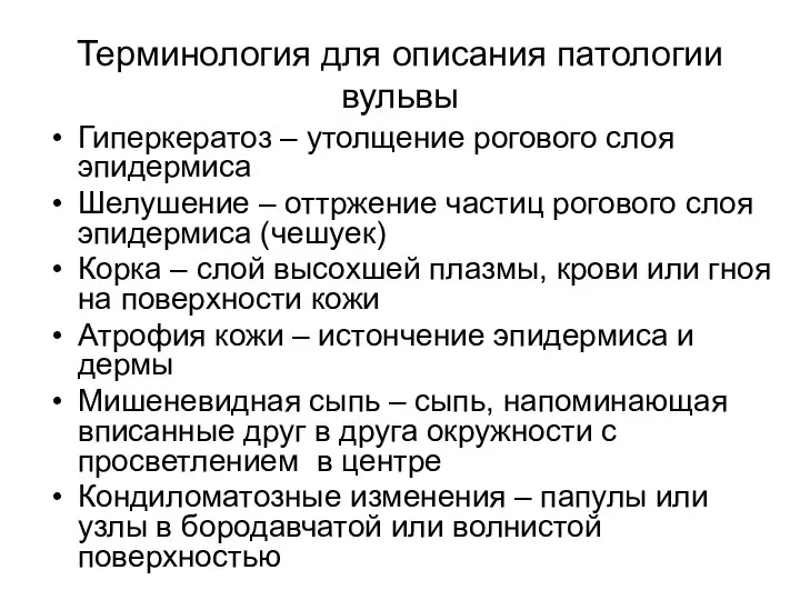 Терминология для описания патологии вульвы Гиперкератоз – утолщение рогового слоя эпидермиса Шелушение