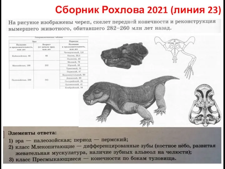 Сборник Рохлова 2021 (линия 23)