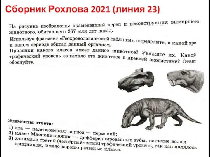 Сборник Рохлова 2021 (линия 23)