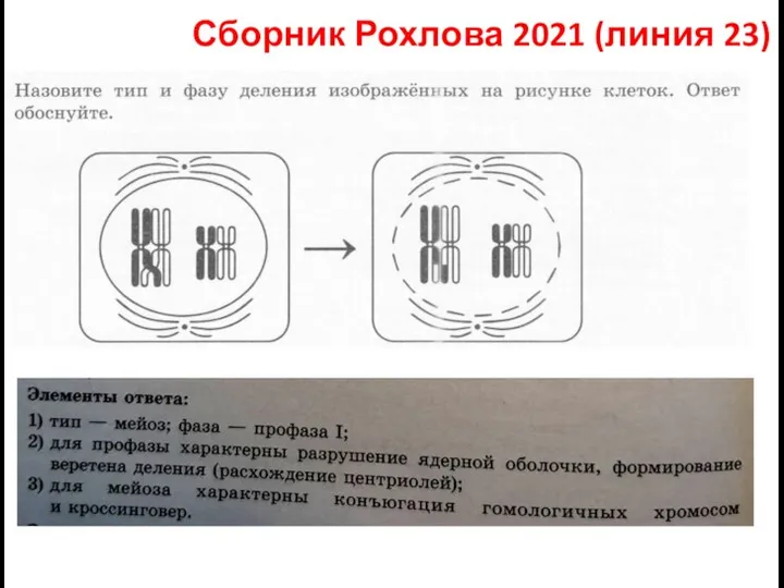 Сборник Рохлова 2021 (линия 23)