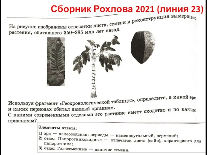 Сборник Рохлова 2021 (линия 23)