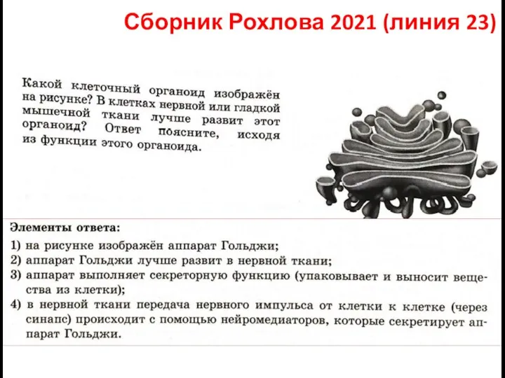 Сборник Рохлова 2021 (линия 23)