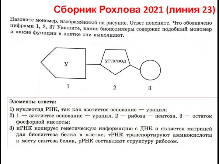 Сборник Рохлова 2021 (линия 23)