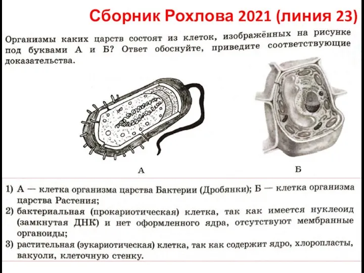 Сборник Рохлова 2021 (линия 23)