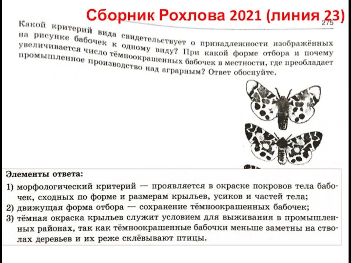 Сборник Рохлова 2021 (линия 23)