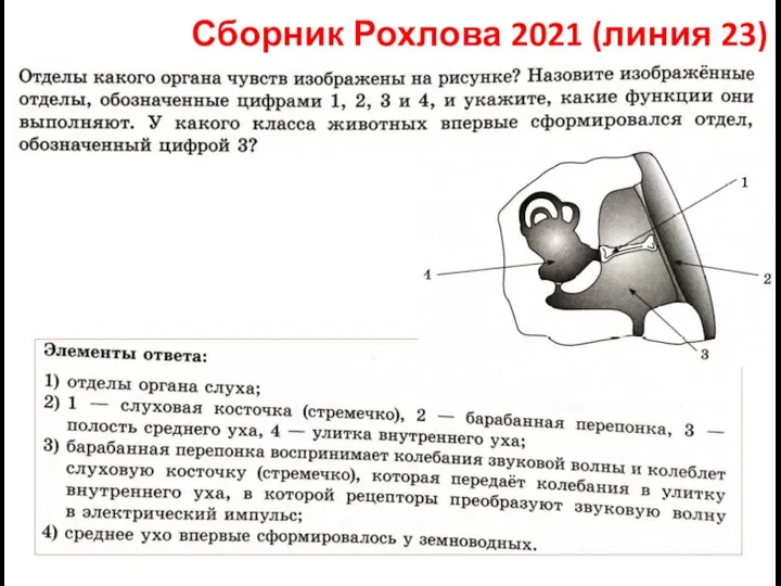 Сборник Рохлова 2021 (линия 23)