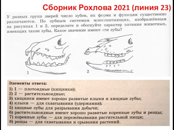 Сборник Рохлова 2021 (линия 23)