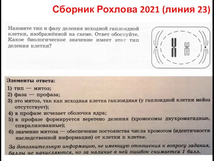 Сборник Рохлова 2021 (линия 23)