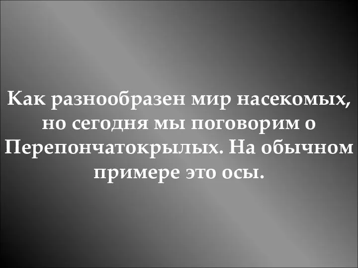 Как разнообразен мир насекомых, но сегодня мы поговорим о Перепончатокрылых. На обычном примере это осы.