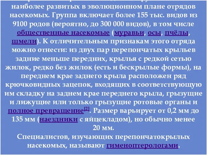 Перепончатокрылые — один из крупнейших и наиболее развитых в эволюционном плане отрядов