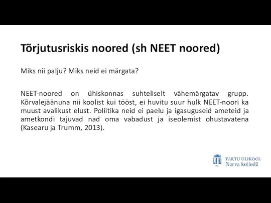 Tõrjutusriskis noored (sh NEET noored) Miks nii palju? Miks neid ei märgata?