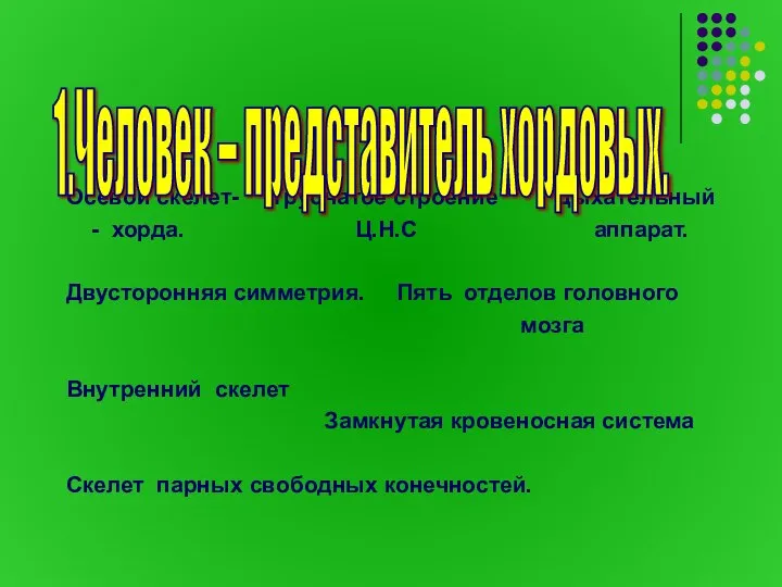 Осевой скелет- Трубчатое строение Дыхательный - хорда. Ц.Н.С аппарат. Двусторонняя симметрия. Пять