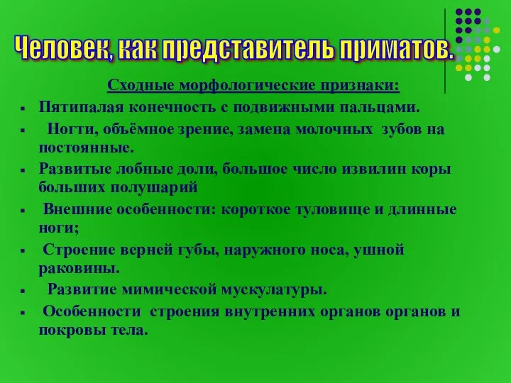 Сходные морфологические признаки: Пятипалая конечность с подвижными пальцами. Ногти, объёмное зрение, замена