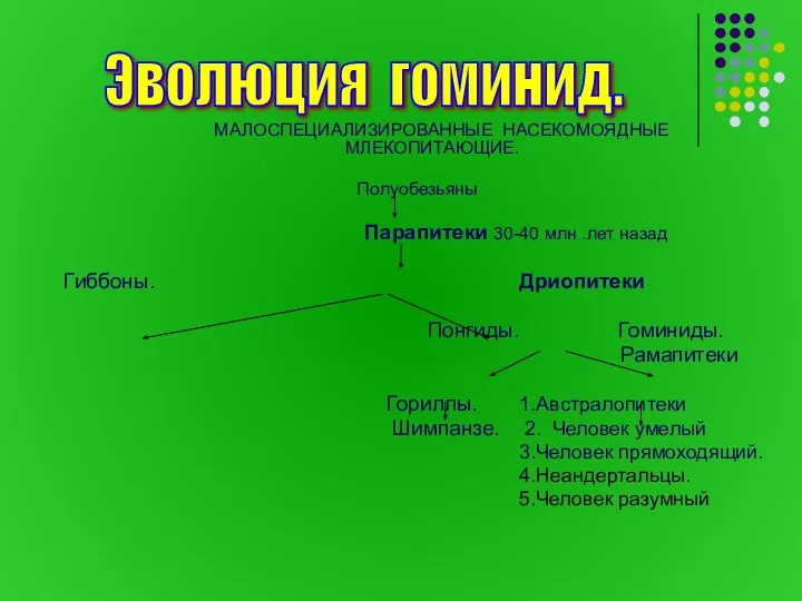 МАЛОСПЕЦИАЛИЗИРОВАННЫЕ НАСЕКОМОЯДНЫЕ МЛЕКОПИТАЮЩИЕ. Полуобезьяны Парапитеки 30-40 млн .лет назад Гиббоны. Дриопитеки Понгиды.