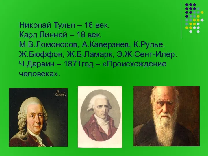 Николай Тульп – 16 век. Карл Линней – 18 век. М.В.Ломоносов, А.Каверзнев,