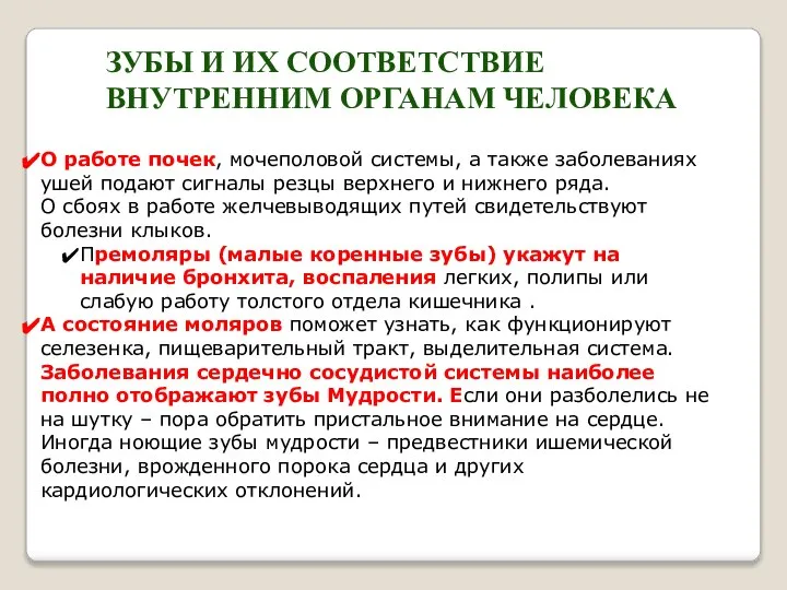 ЗУБЫ И ИХ СООТВЕТСТВИЕ ВНУТРЕННИМ ОРГАНАМ ЧЕЛОВЕКА О работе почек, мочеполовой системы,