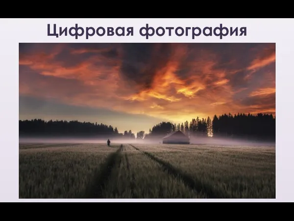 Цифровая фотография