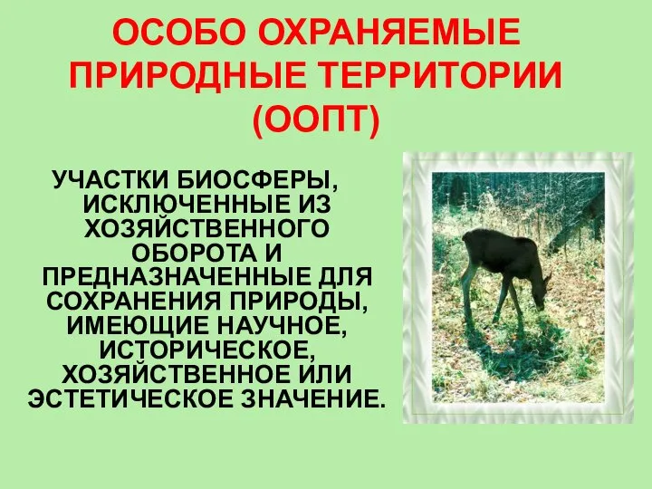 ОСОБО ОХРАНЯЕМЫЕ ПРИРОДНЫЕ ТЕРРИТОРИИ (ООПТ) УЧАСТКИ БИОСФЕРЫ, ИСКЛЮЧЕННЫЕ ИЗ ХОЗЯЙСТВЕННОГО ОБОРОТА И