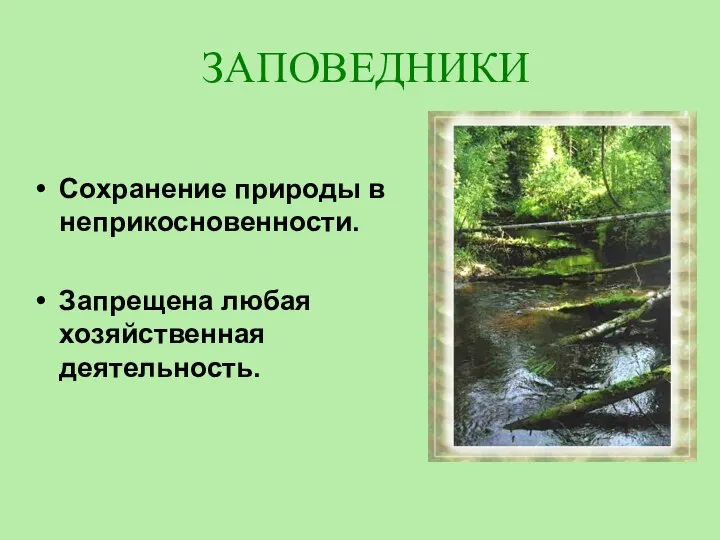 ЗАПОВЕДНИКИ Сохранение природы в неприкосновенности. Запрещена любая хозяйственная деятельность.