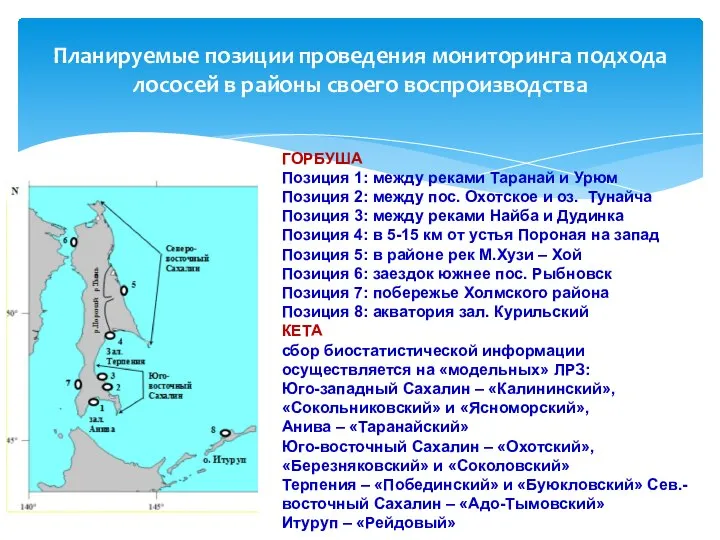 Планируемые позиции проведения мониторинга подхода лососей в районы своего воспроизводства ГОРБУША Позиция