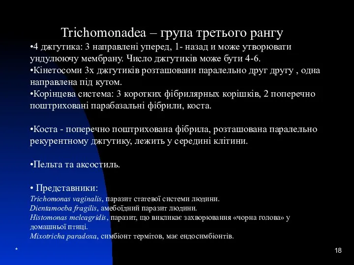 * Trichomonadea – група третього рангу •4 джгутика: 3 направлені уперед, 1-