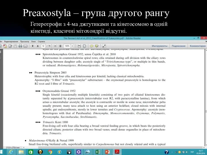 * Preaxostyla – група другого рангу Гетеротрофи з 4-ма джгутиками та кінетосомою