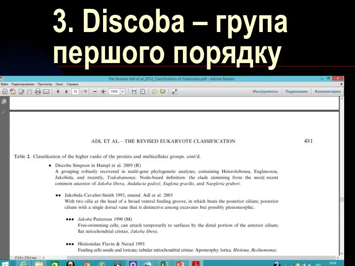 3. Discoba – група першого порядку *